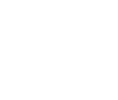 Бухгалтерская экспертиза