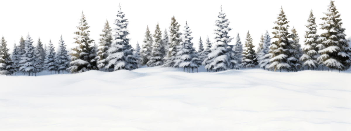 лес, снег, зима