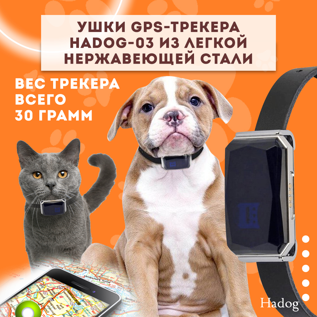 GPS трекер для кошек купить, цена от рублей с доставкой в Москве