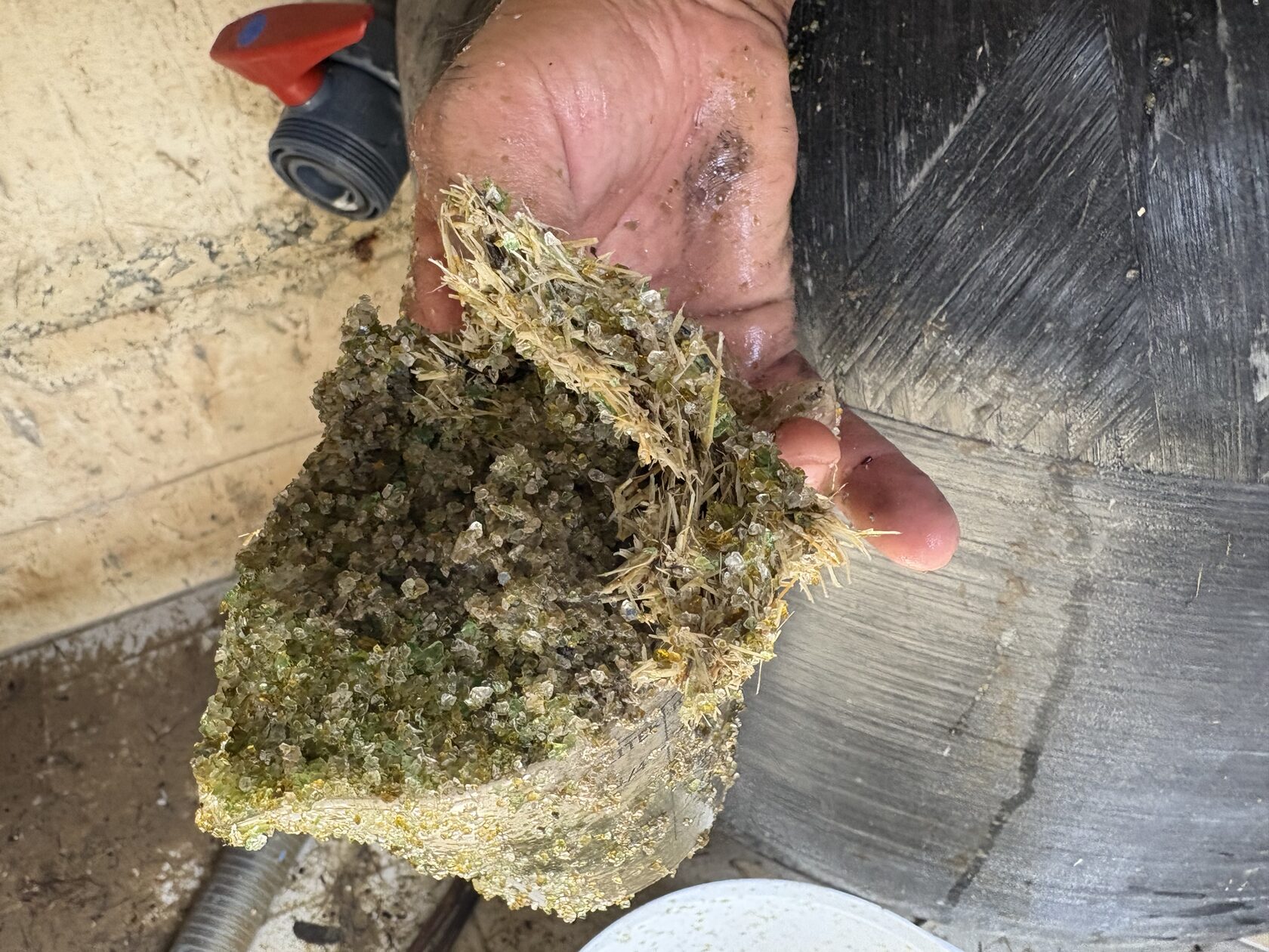 Dirty pool filter in Cyprus