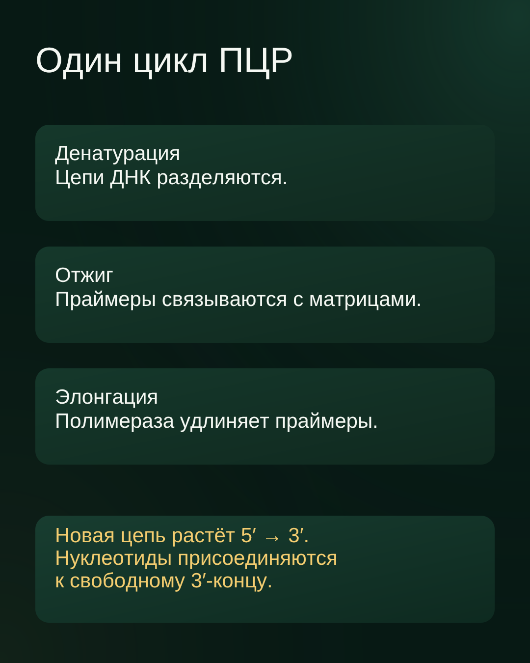 Один цикл ПЦР: денатурация, отжиг и элонгация. Новая цепь растёт 5′ → 3′