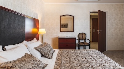 Номера в отеле Шереметьев Парк