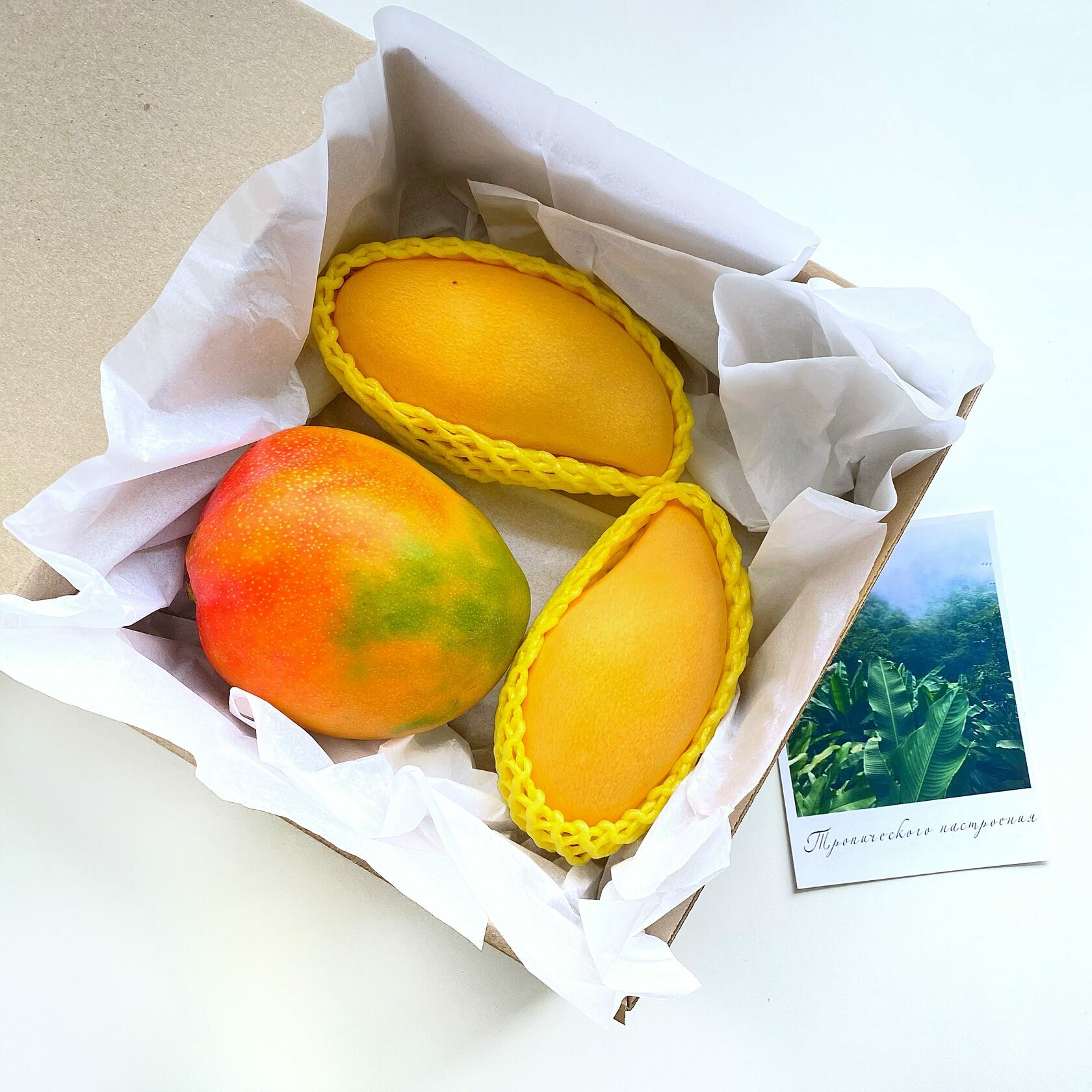 Манго фрукт как есть. Манго Королевский. Королевское тайское манго. Манго сорт кит. Экзотические фрукты манго.