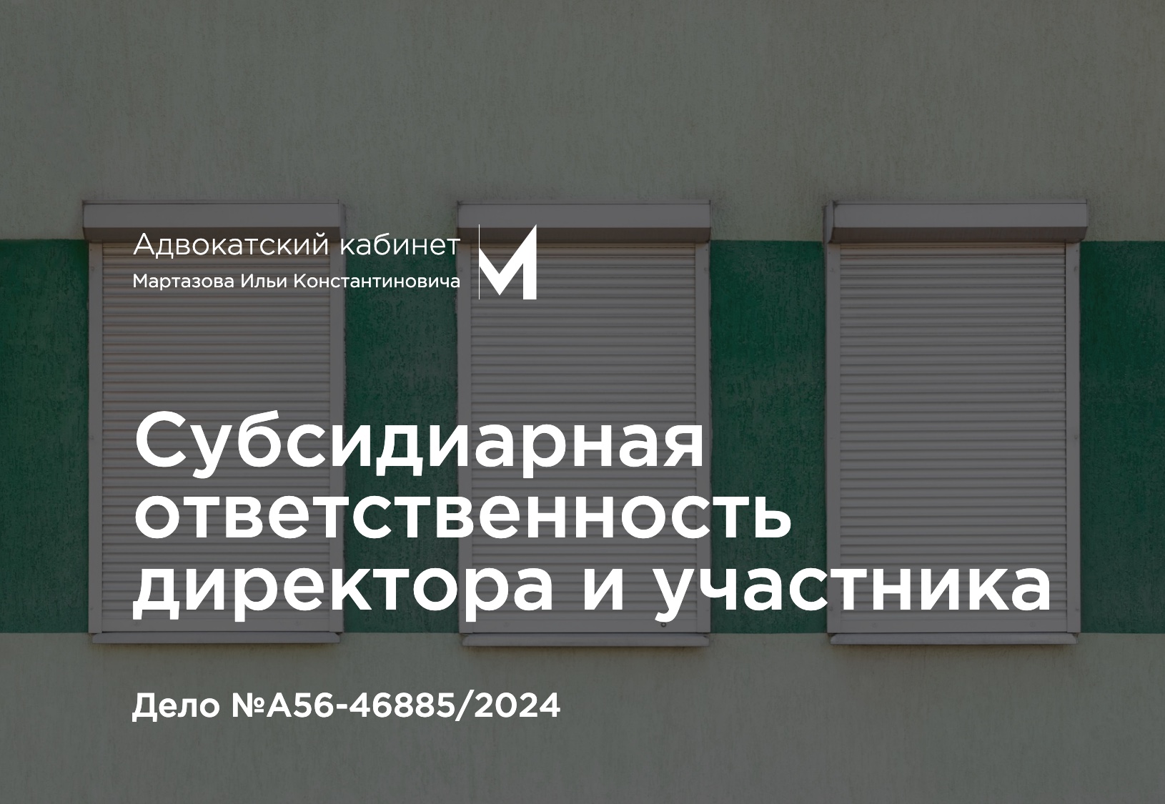 Субсидиарная ответственность директора и участника. Дело №А56-46885/2024