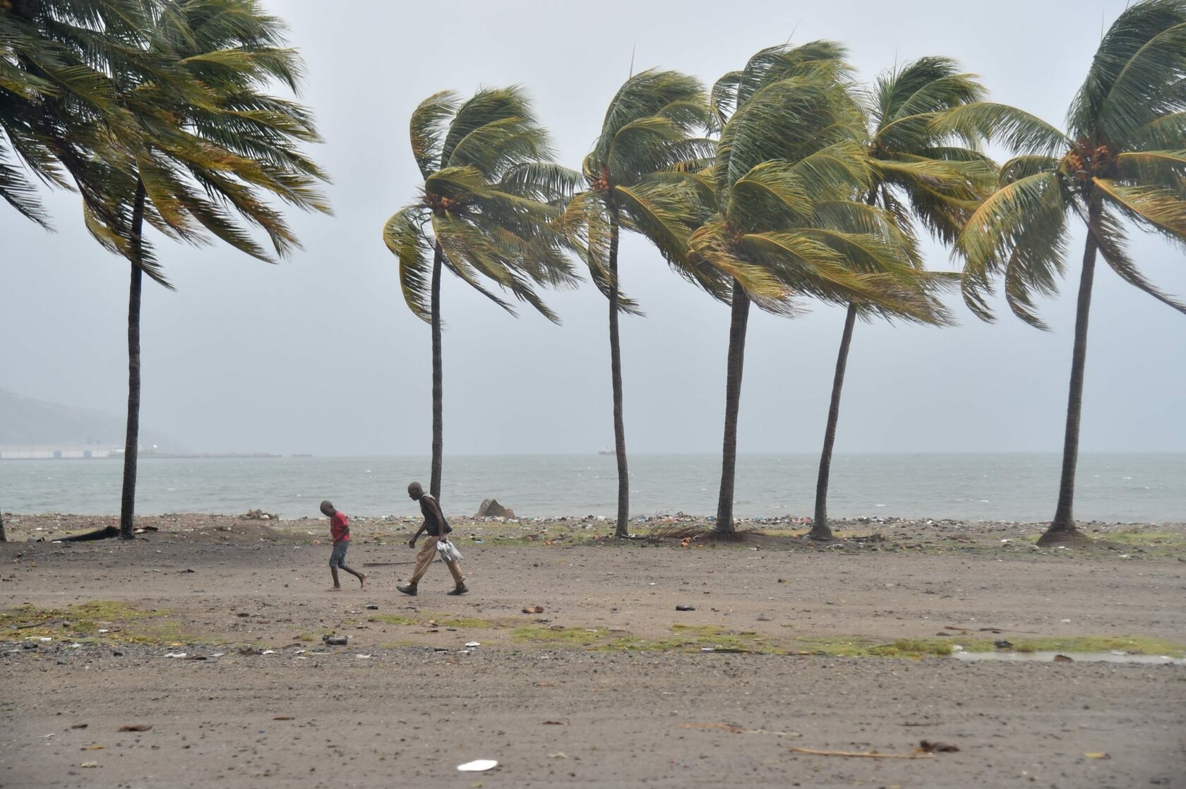 Погода в Доминикане в августе