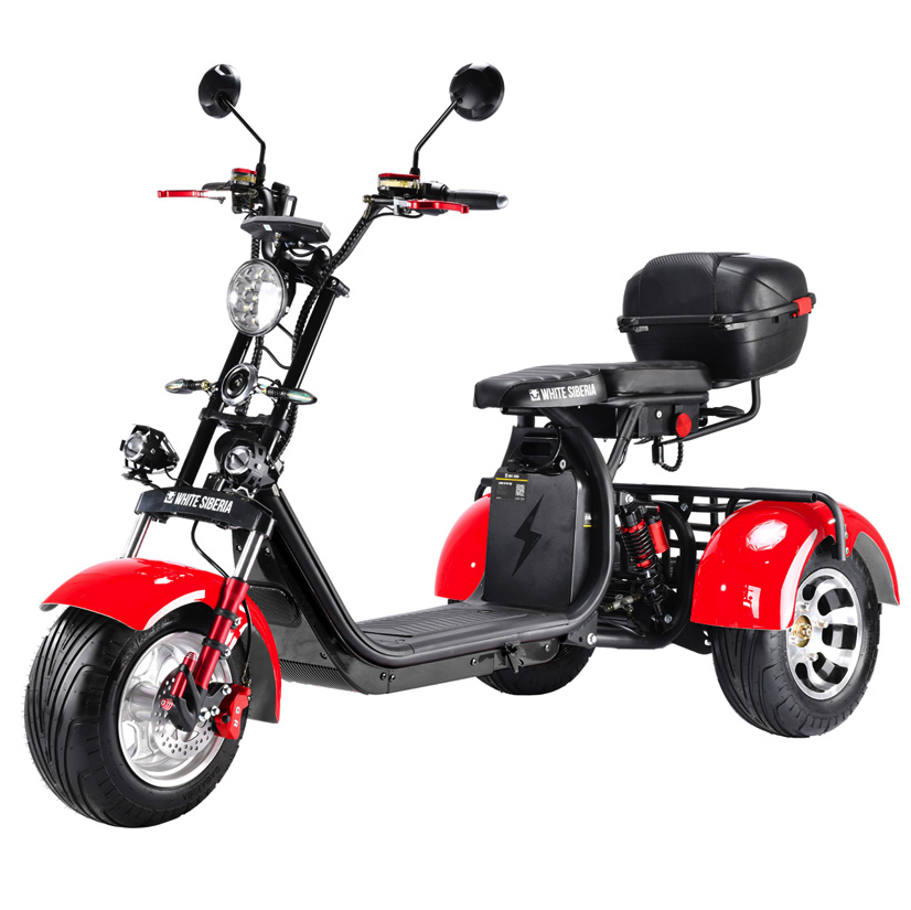 Ситикока. Citycoco WS Pro Trike 3000 w. Вайт СИБИРИЯ электроскутер трехколесный. Citycoco 3000w. City Coco электроскутер 3.