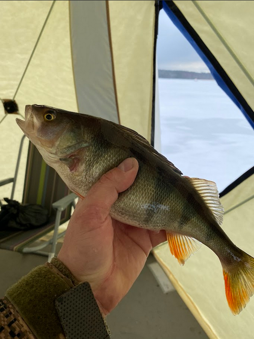 Рыбалка на Валдае - озеро Велье