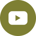 website icon