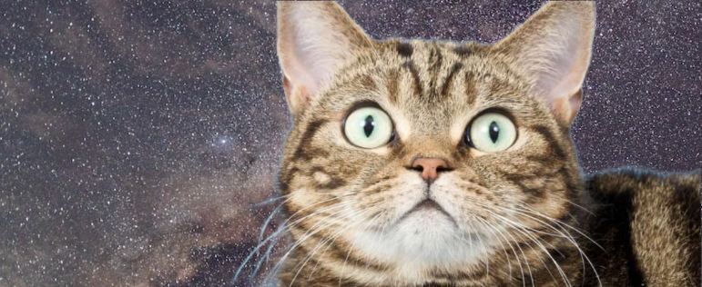 Часть 3. Автотесты Для Сайта На Java С Нуля. Настройка Окружения.