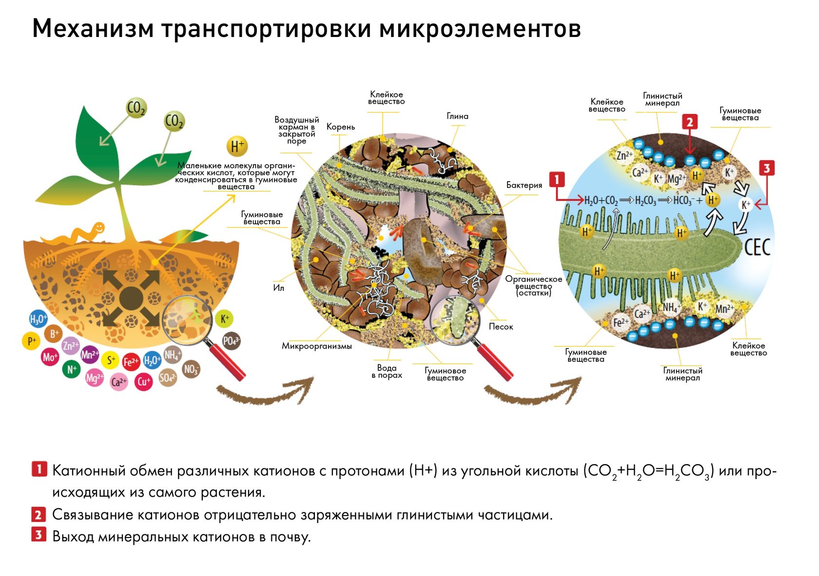 Гуминовые удобрения названия и фото