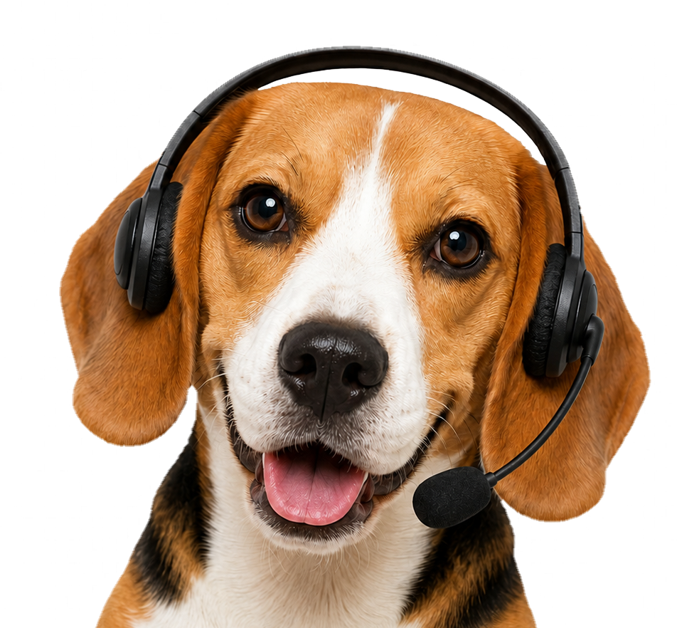 Beagle — цифровой помощник ветклиники