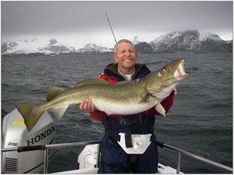 Ошибки e-Learning