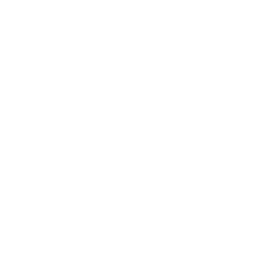 website icon