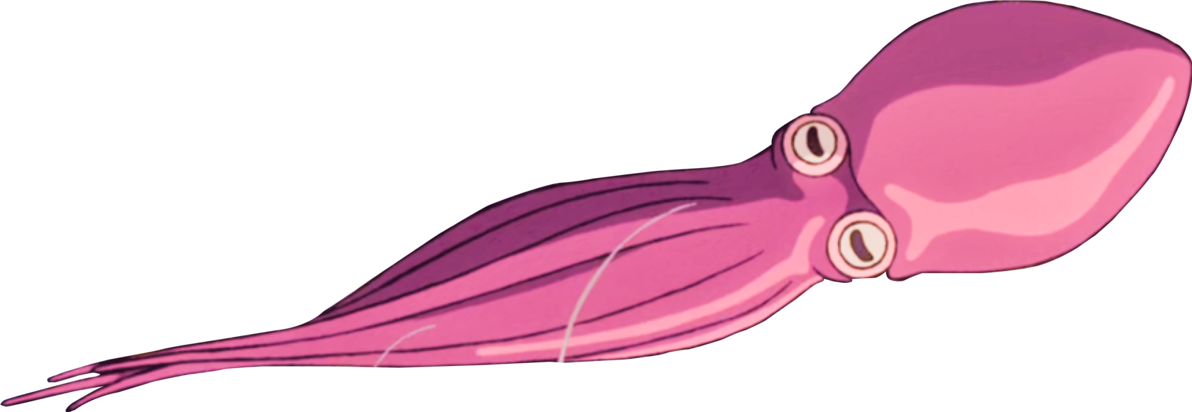 squid