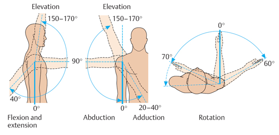 Движения в плечевом суставе. Объем движений в плечевом суставе в норме. Ротационные движения в плечевых суставах. Объем движений в плечевом суставе в градусах. Оси движения плечевого сустава.