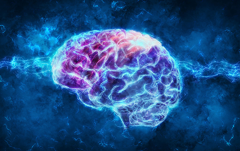 Baby Brain франшиза образовательного центра