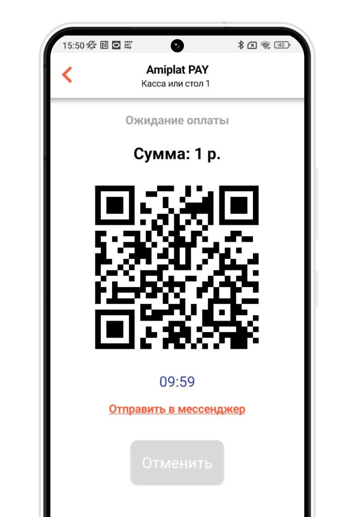 Быстрый платеж и чаевые от Amiplat Pay