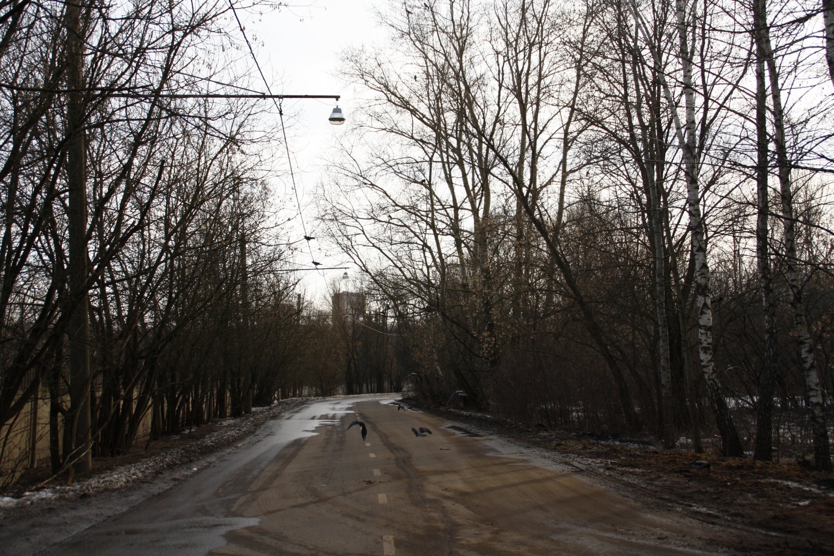 деревня терехово в москве старые