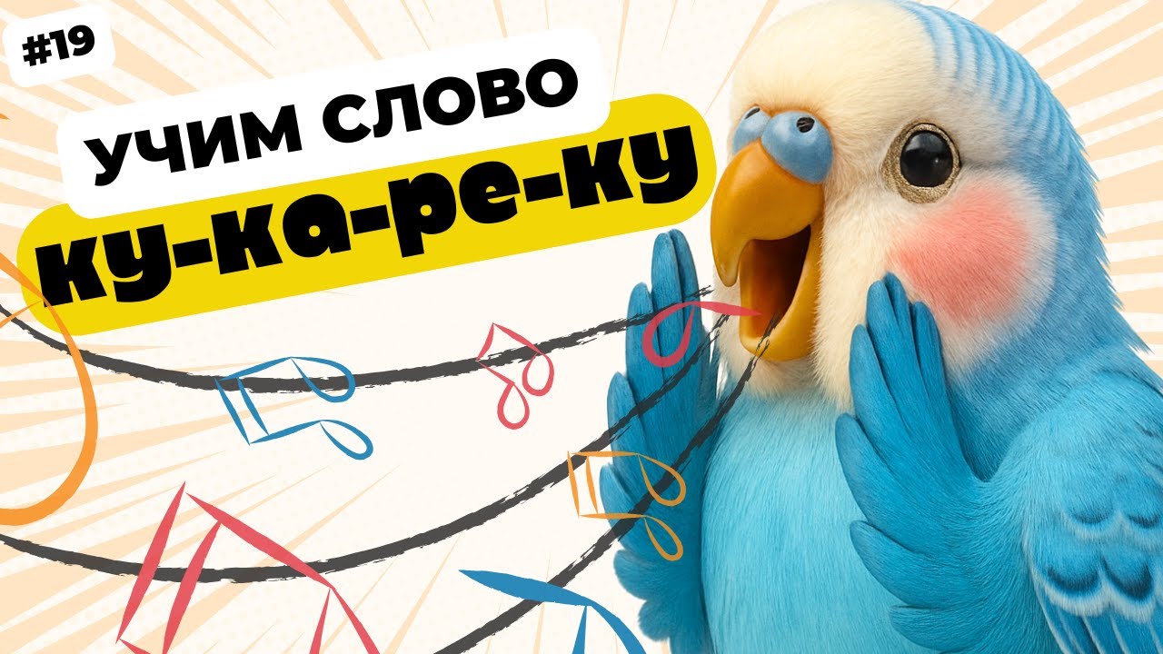 попугай слова говорит кукареку