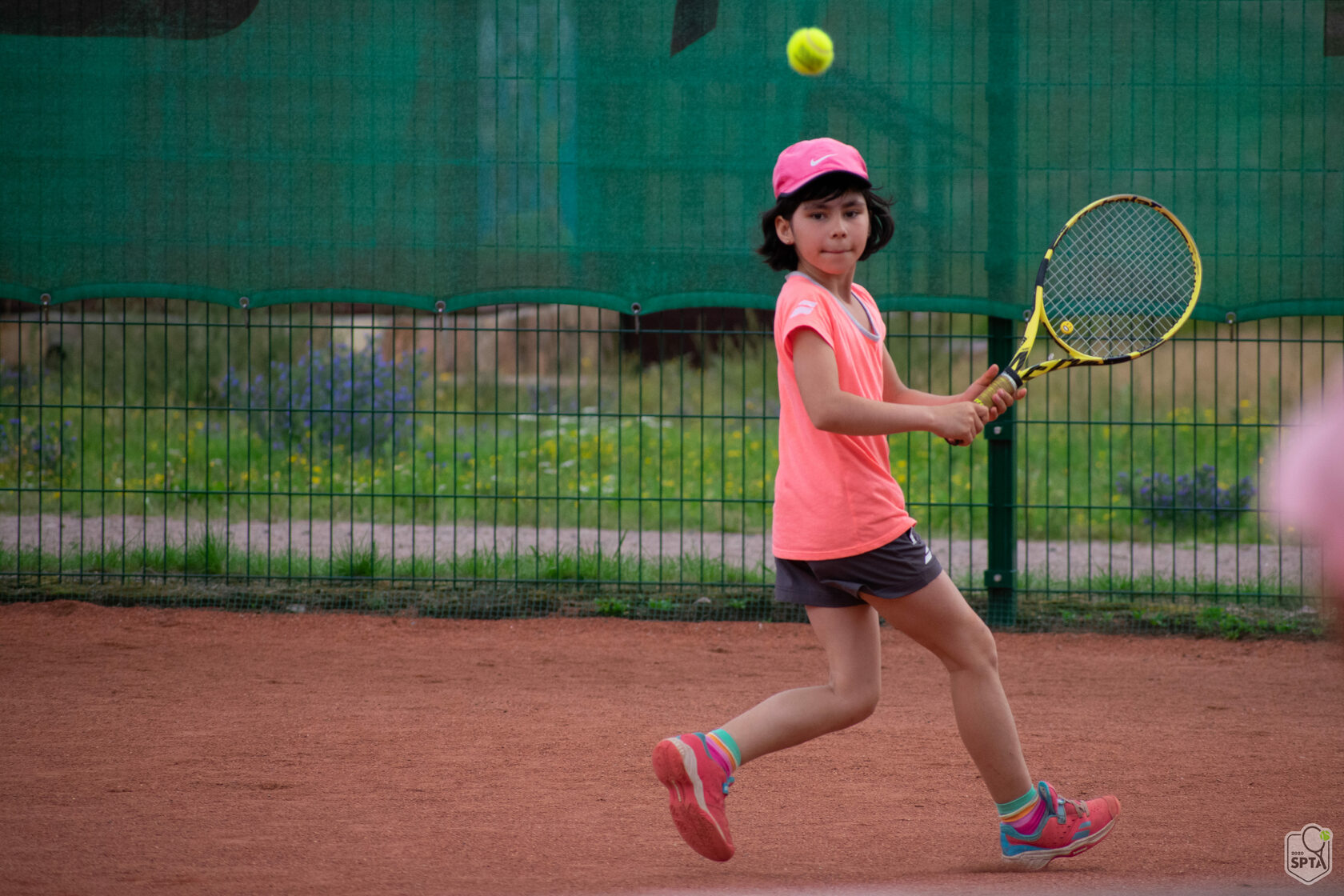 Зеленогорск спорт