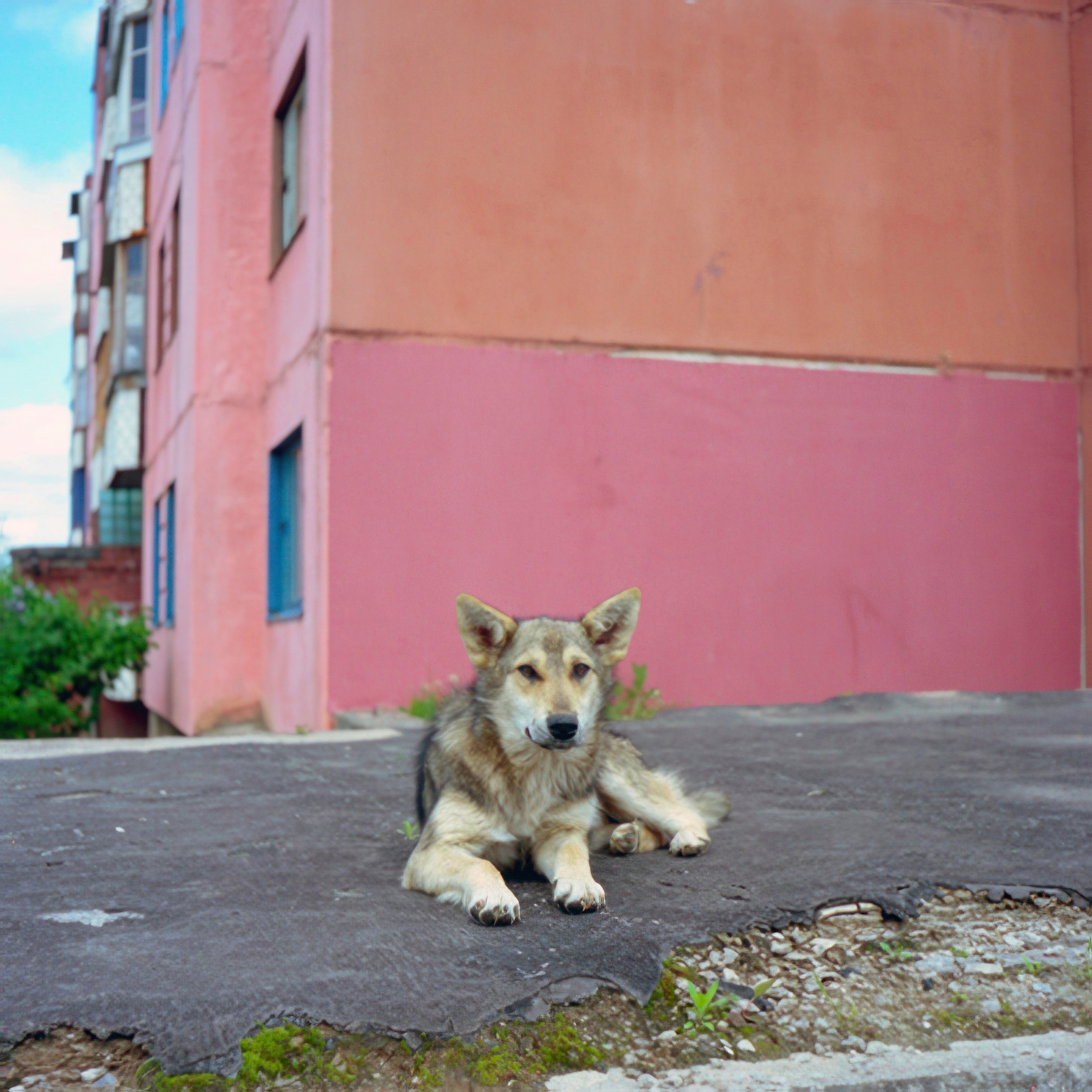 Филипп Эрбе: Зроблена ў Беларусі | Made in Belarus.