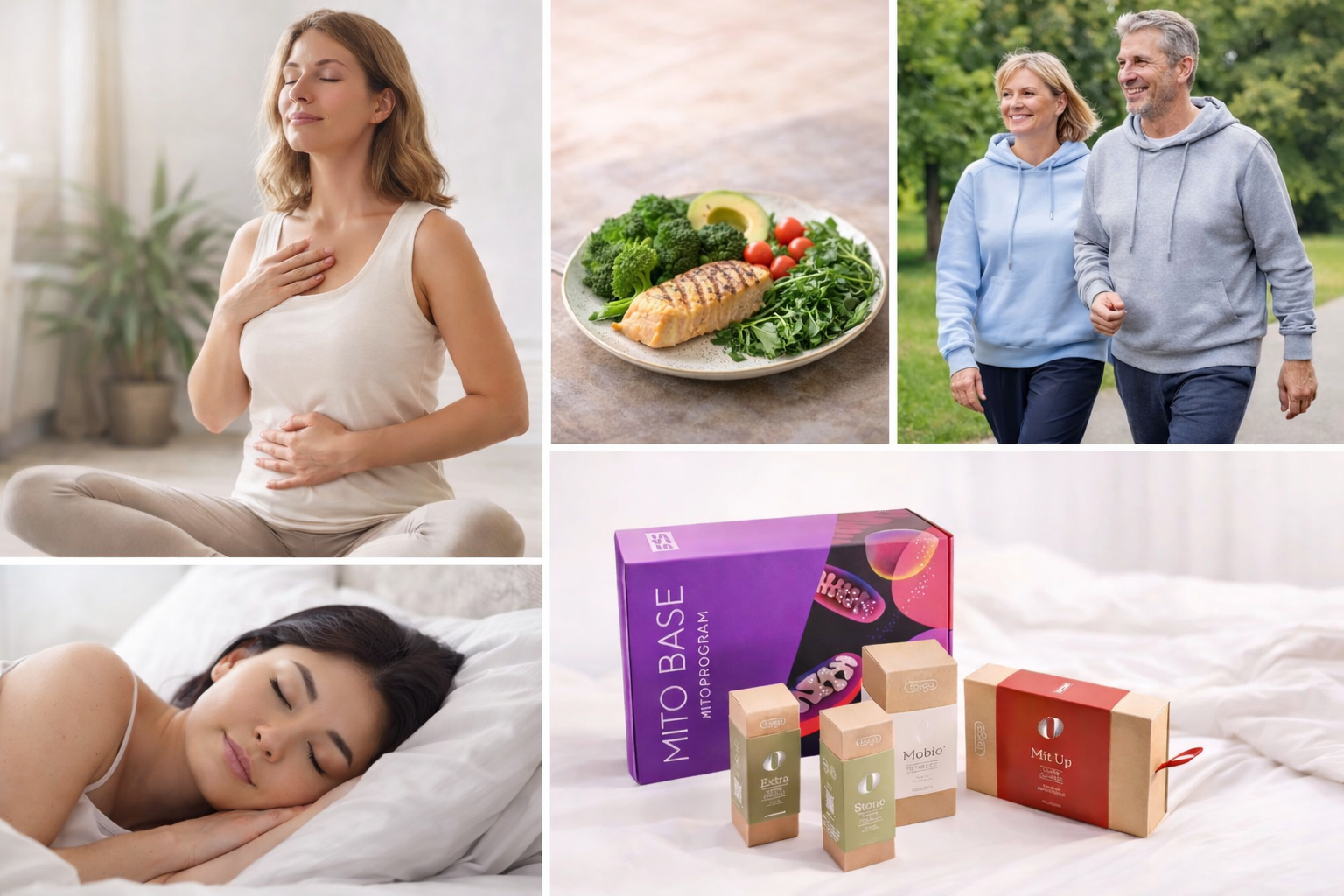 Система МИТО от VILAVI - это поддержка митохондриального здоровья каждый день