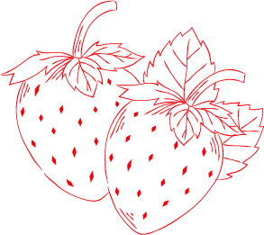 Strawberry pastries recipes book and video class