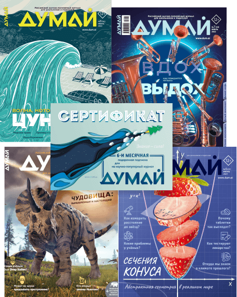 Подписка в подарок