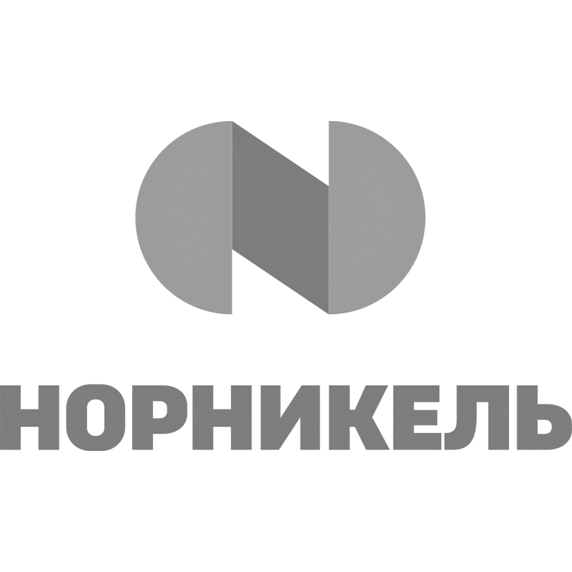 Nornickel. Норильский никель логотип. ГМК Норникель логотип. Логотип Норникель на английском. Норникель логотип вектор.