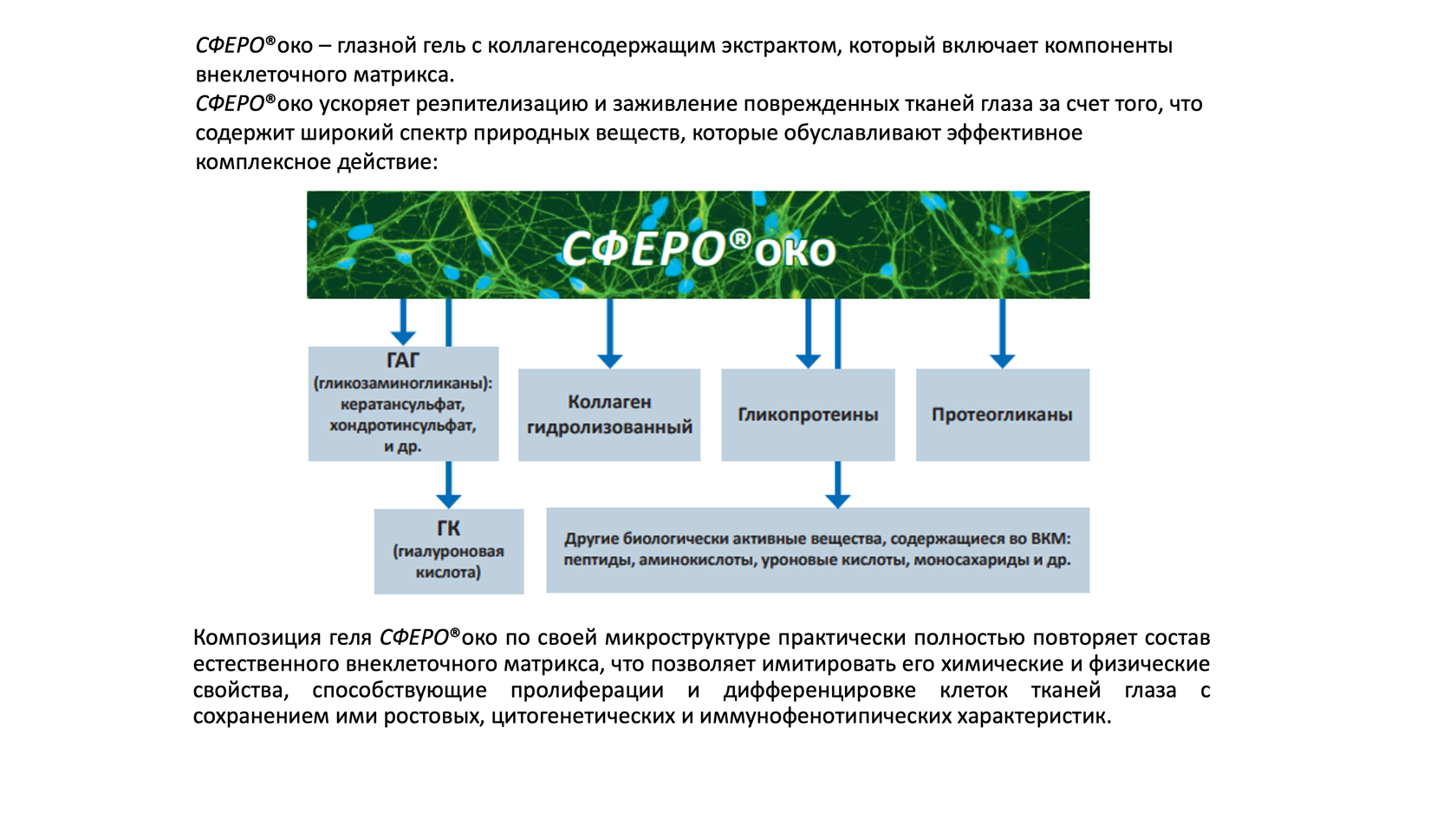 Сферо око
