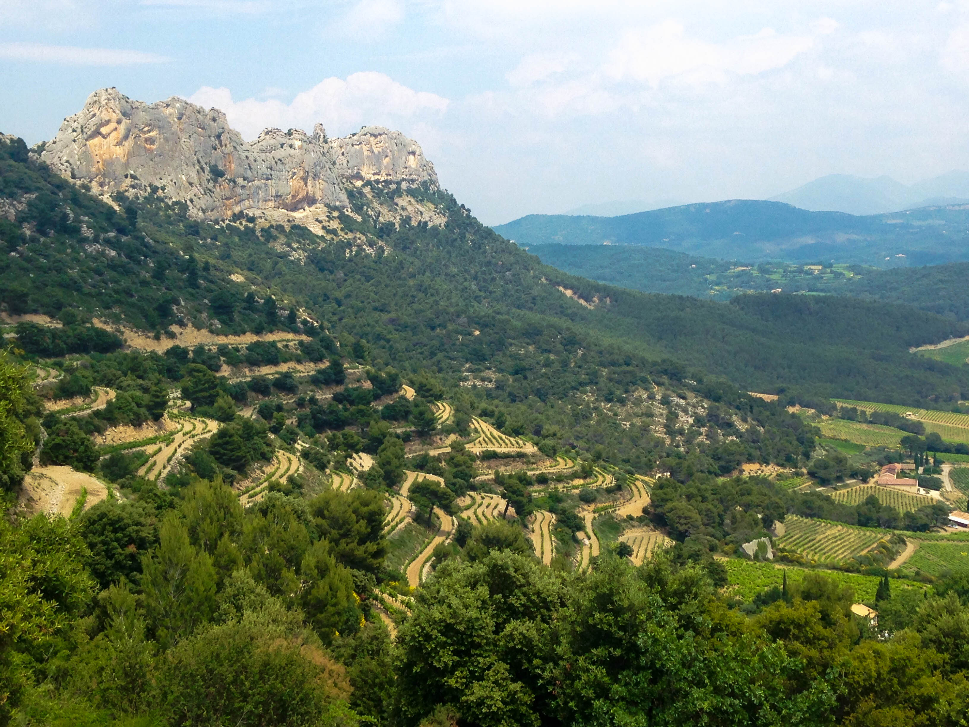 Пейзажи Прованса