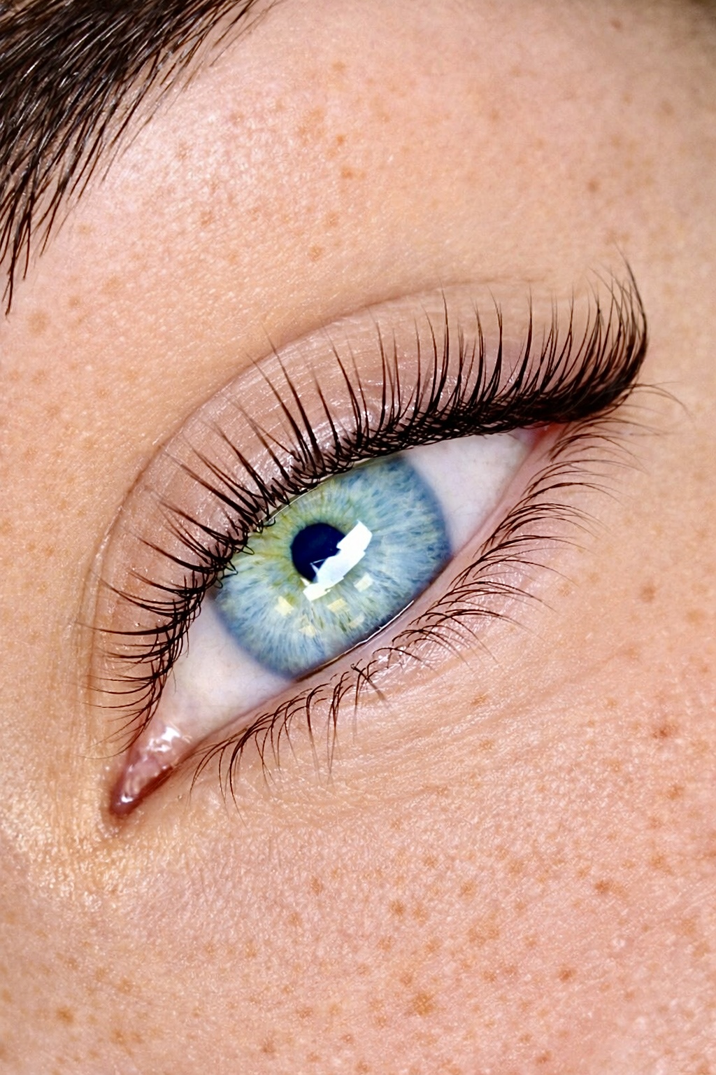 Результат ламинирования ресниц — Luxury Lashes