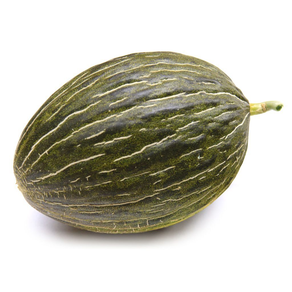 Seeds of Melon Piel De Sapo (Cucumis melo) — 10 pcs