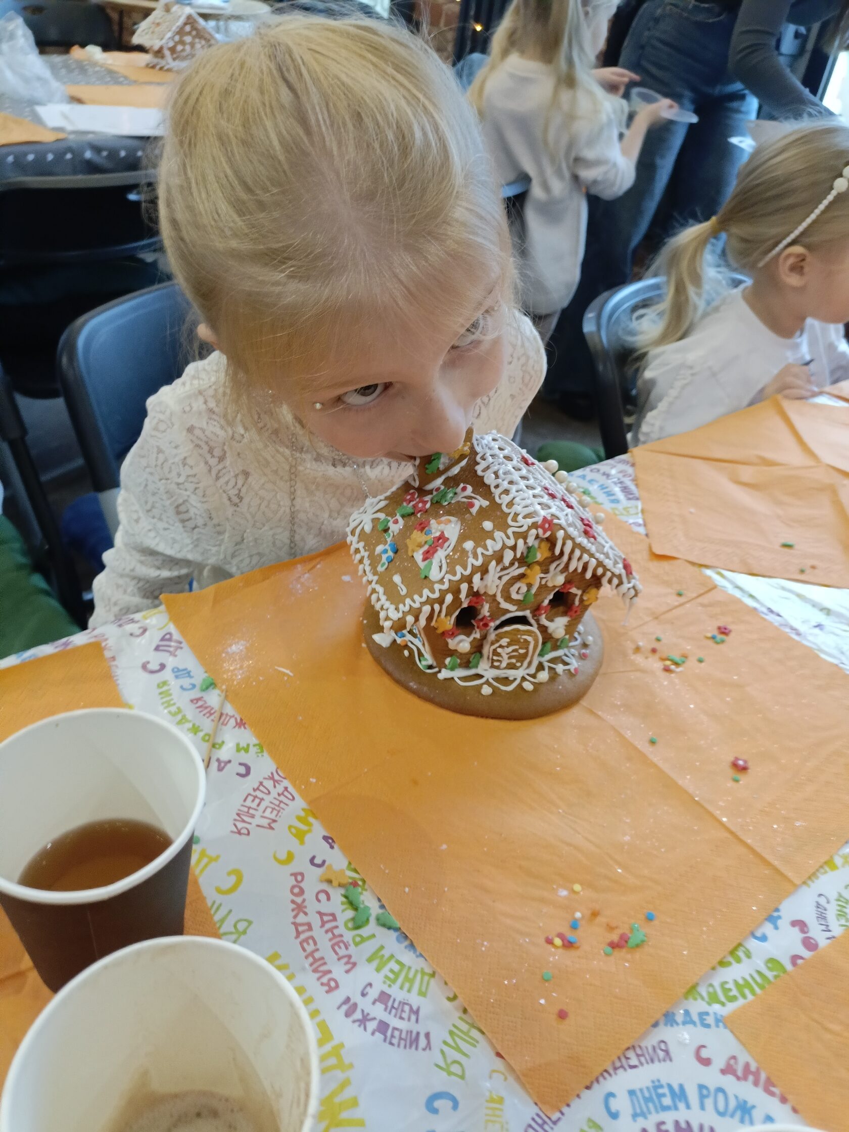 Пряничный домик в подарочной упаковке