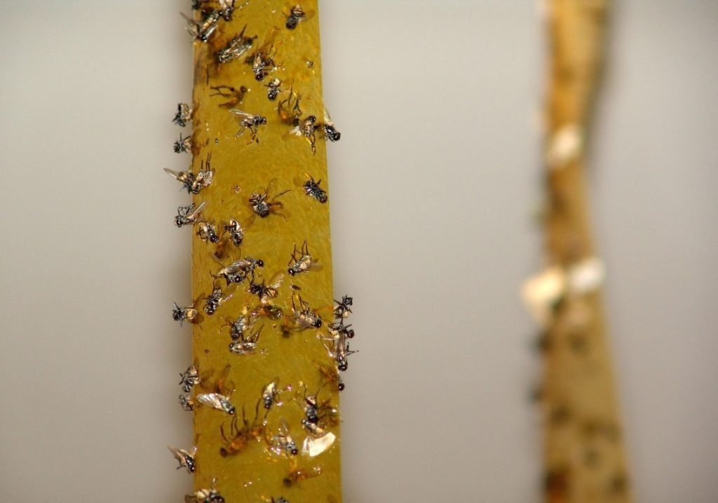 Fep пленка что это. Смотреть фото Fep пленка что это. Смотреть картинку Fep пленка что это. Картинка про Fep пленка что это. Фото Fep пленка что это Fep пленка что это. Смотреть фото Fep пленка что это. Смотреть картинку Fep пленка что это. Картинка про Fep пленка что это. Фото Fep пленка что это