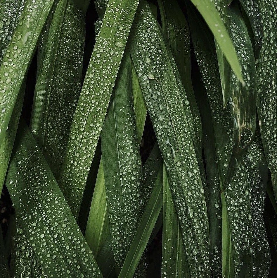 Алло, Я, Вера !