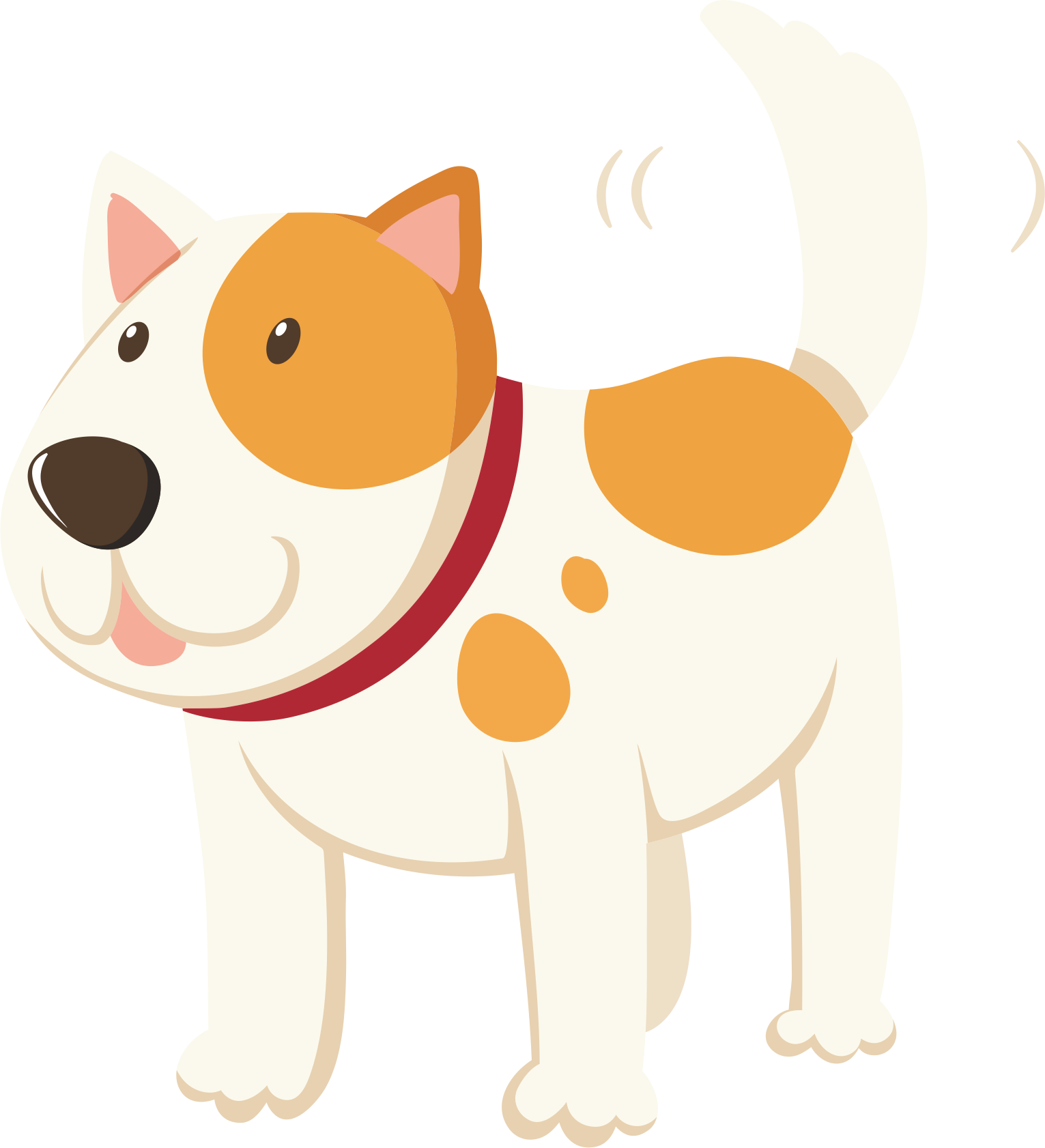 Купирование ушей у собак