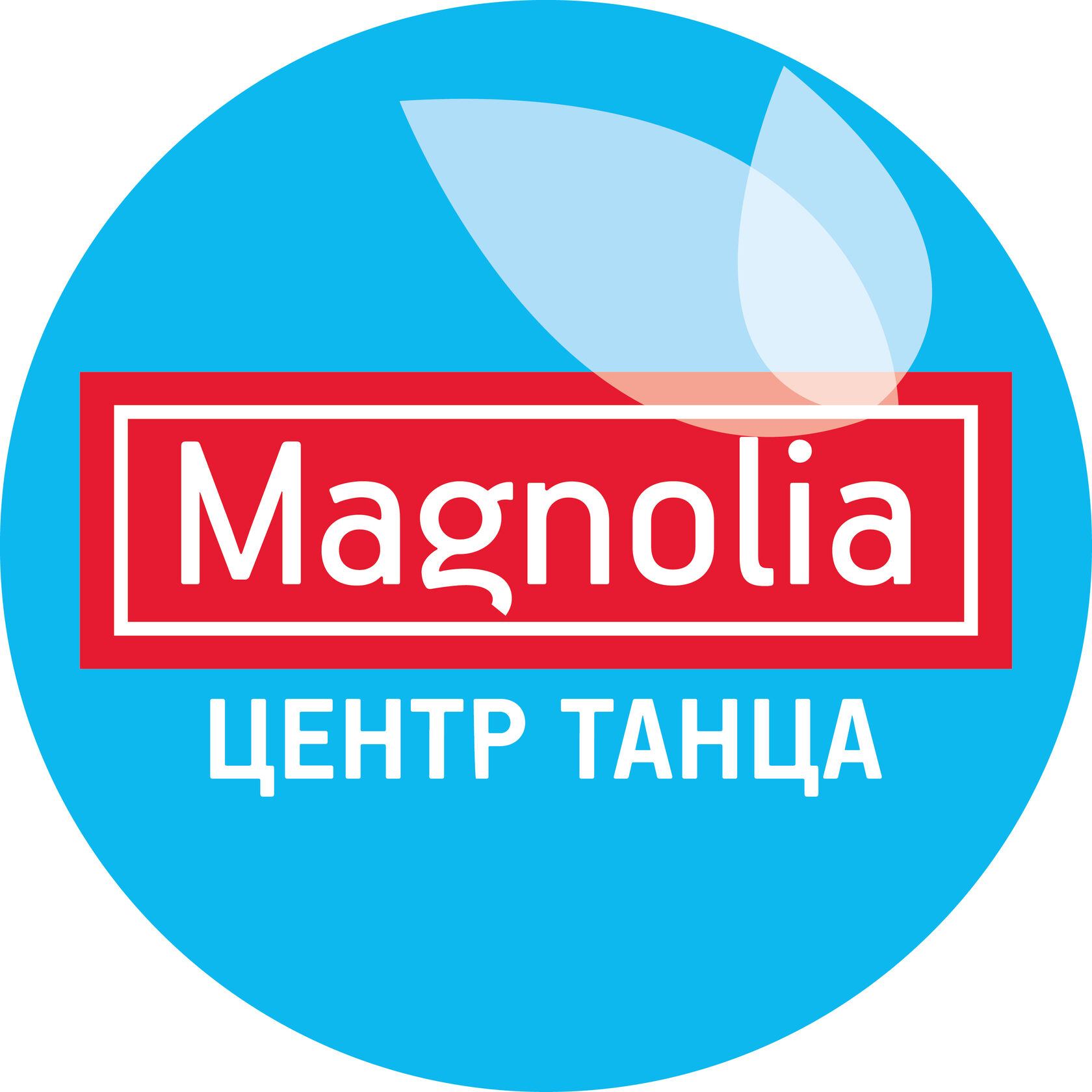 Магнолия Танцевальный Центр: Резиденты