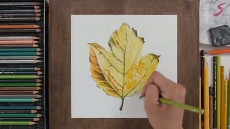 нарисовать листья