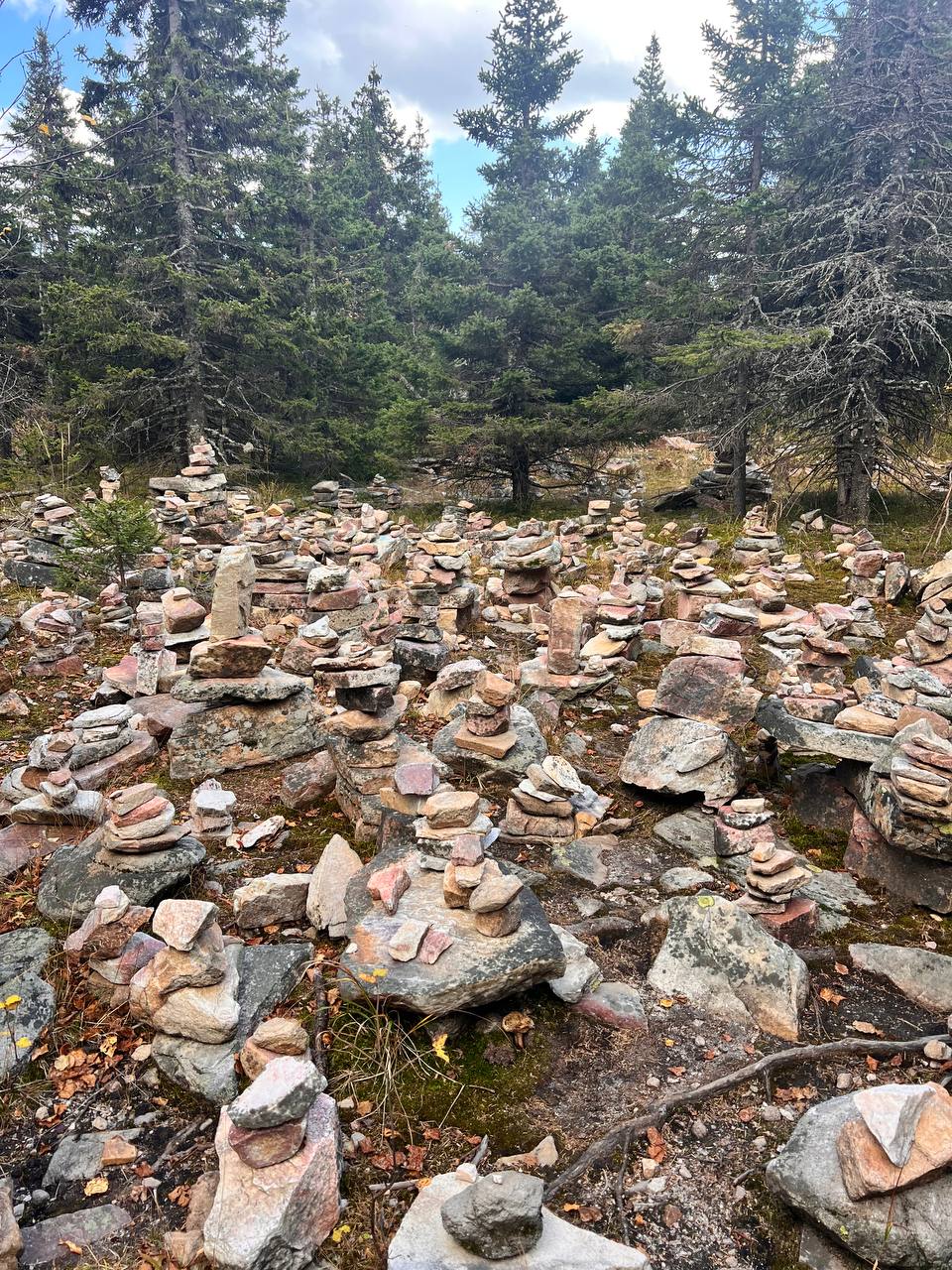 Каменые семьи