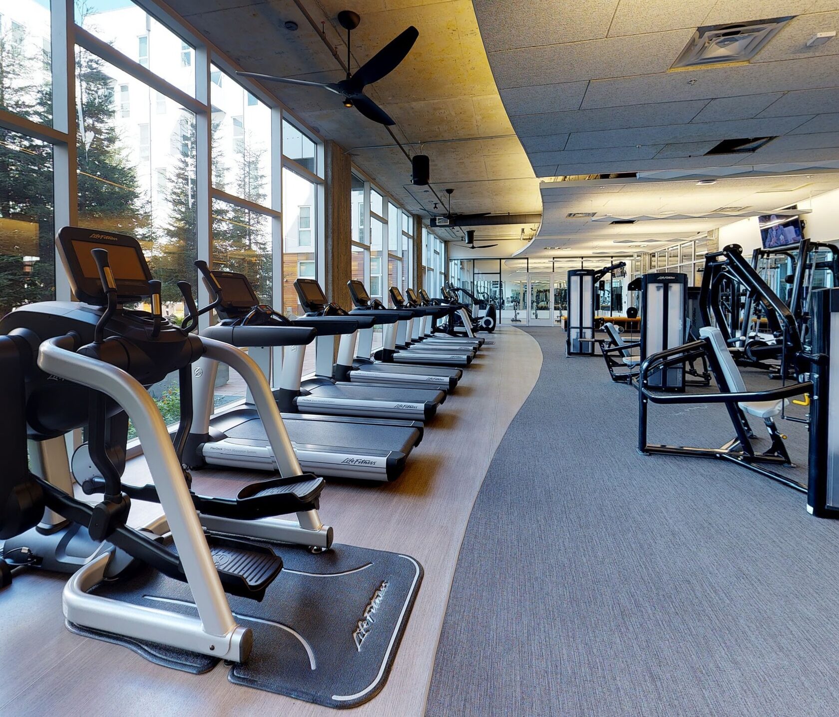 Zone 2 workout