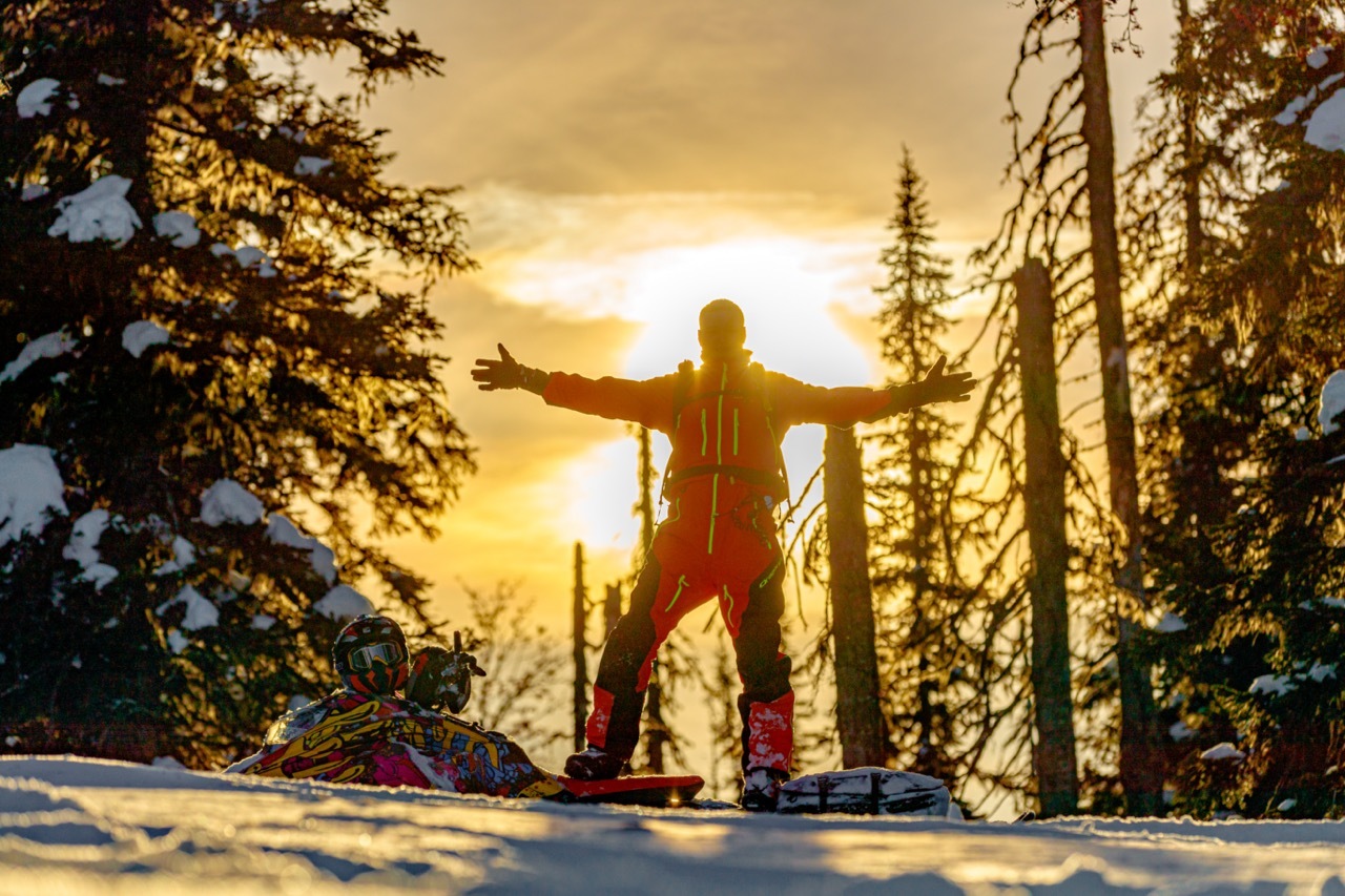 БРЕНД | Dragonfly