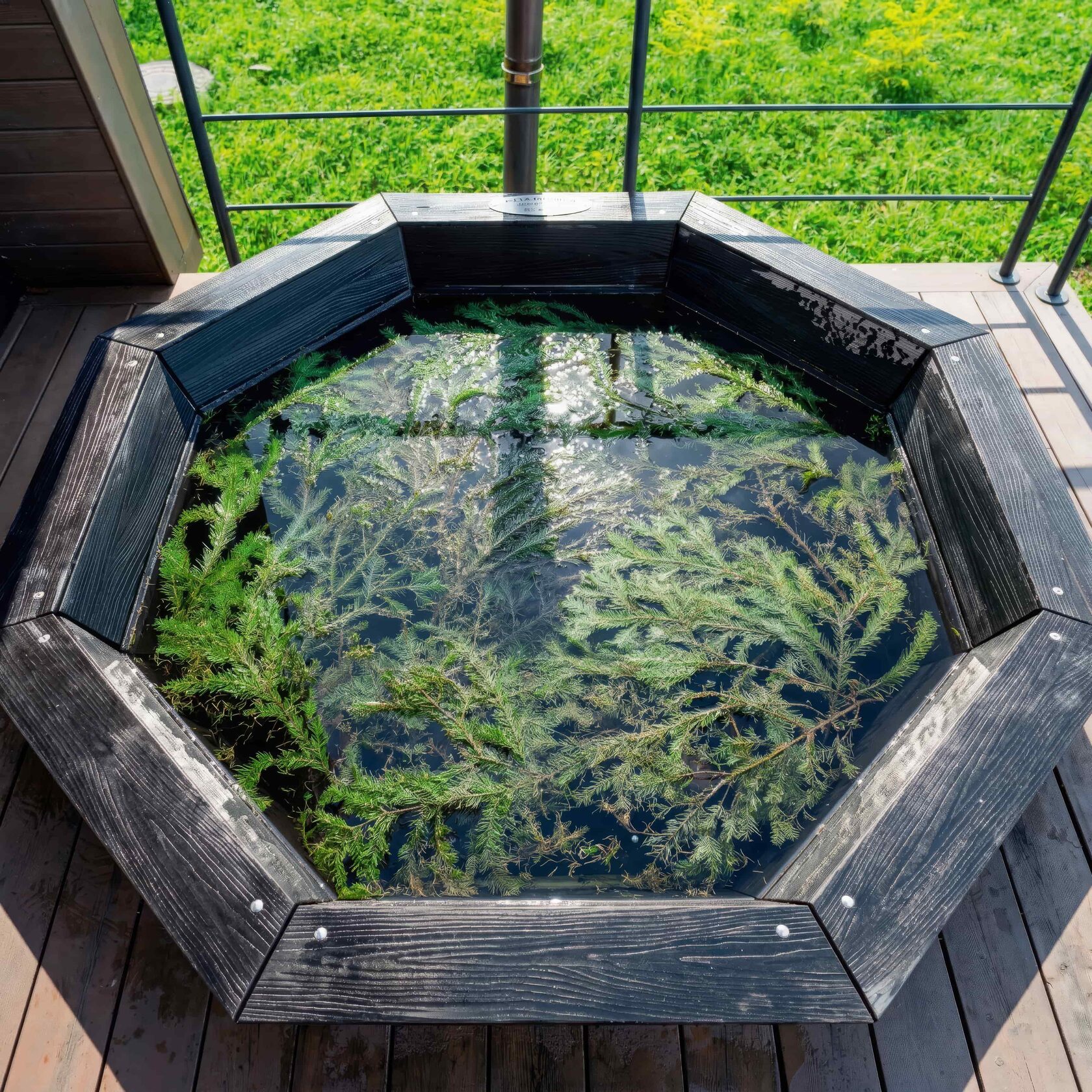 Трофимов Берег, компания по аренде премиальных домов на берегу