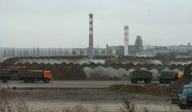  Золотухинский сахарный комбинат