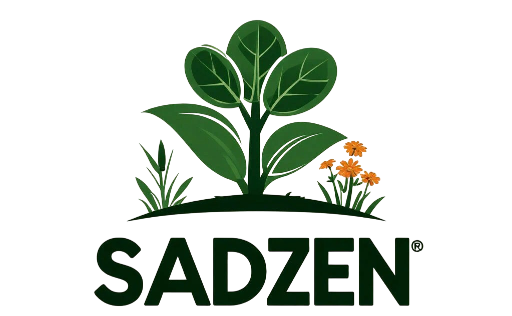 СаДзен