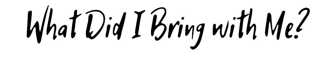 Что я взял(а) с собой?