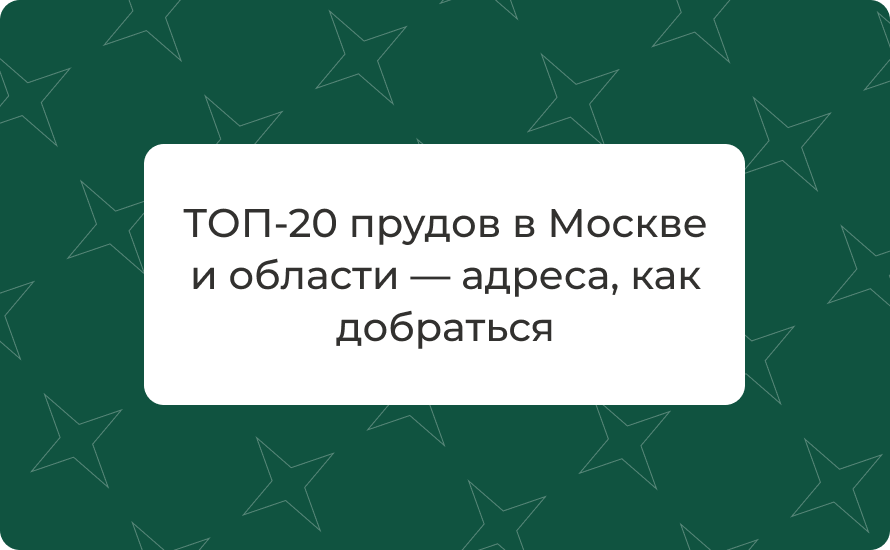 ТОП‑20 прудов в Москве и области — адреса, как добраться