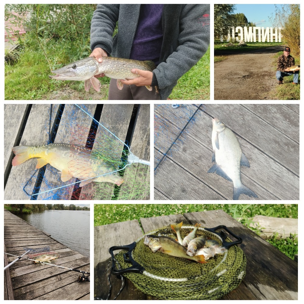 Рыбалка в глэмпинге Остров Подмосковье у воды