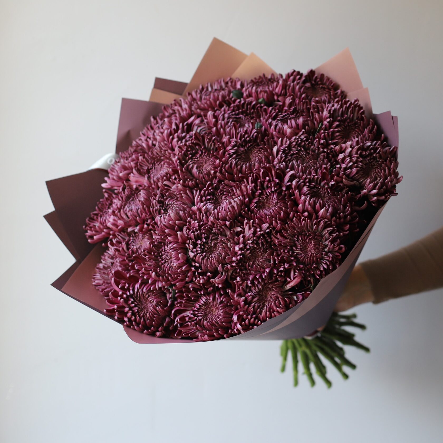 Хризантемы