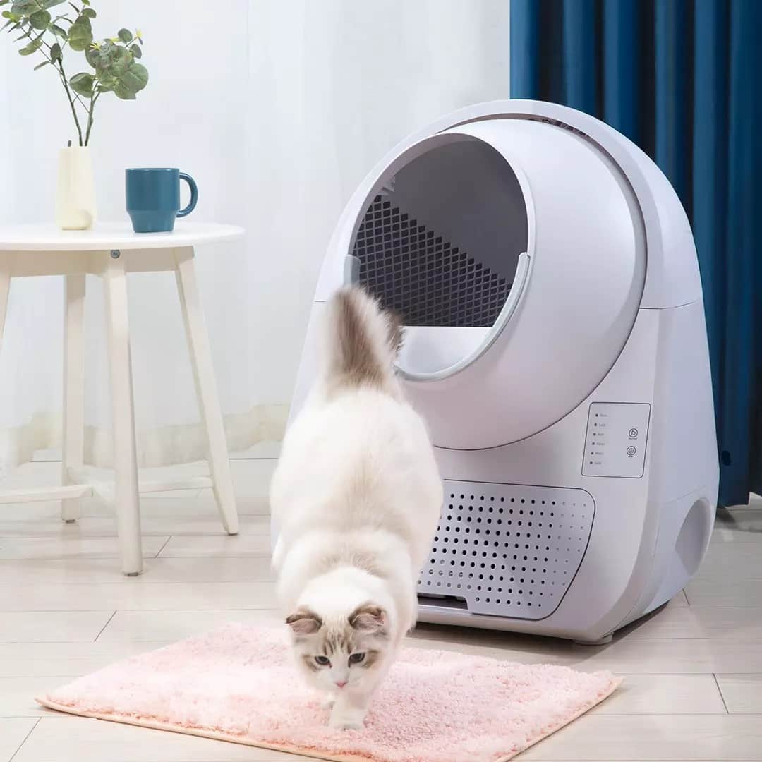 Лотки-автоматы для кошек